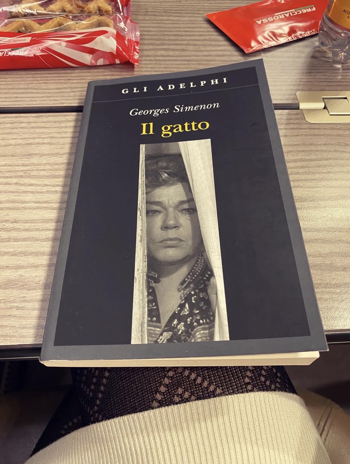 La copertina del romanzo Il gatto